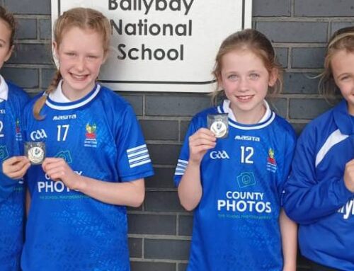 Roscommon Cross Country Championships 2025